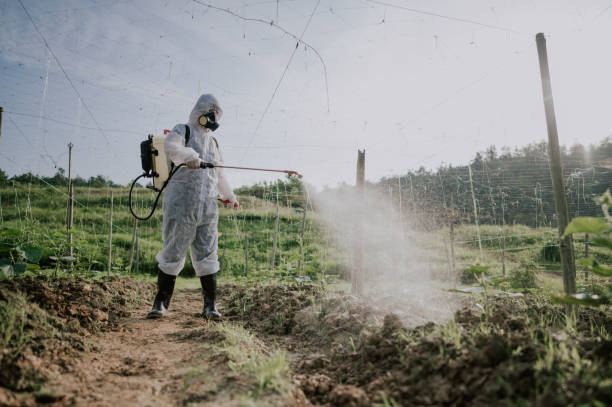 Best Pest Prevention Services  in Cascades, VA