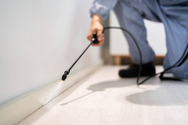 Wasp Removal Services in Cascades, VA