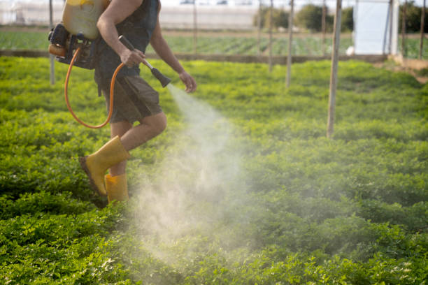 Best Mosquito Control Services  in Cascades, VA