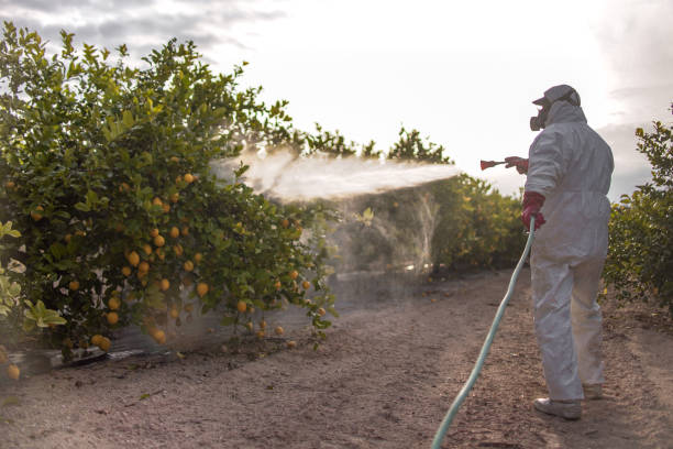 Professional Pest Control in Cascades, VA