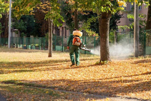 Best Cockroach Control Services  in Cascades, VA
