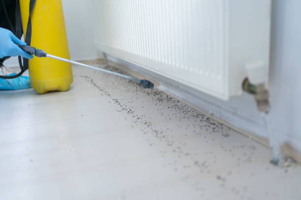 Best Affordable Pest Control Services  in Cascades, VA